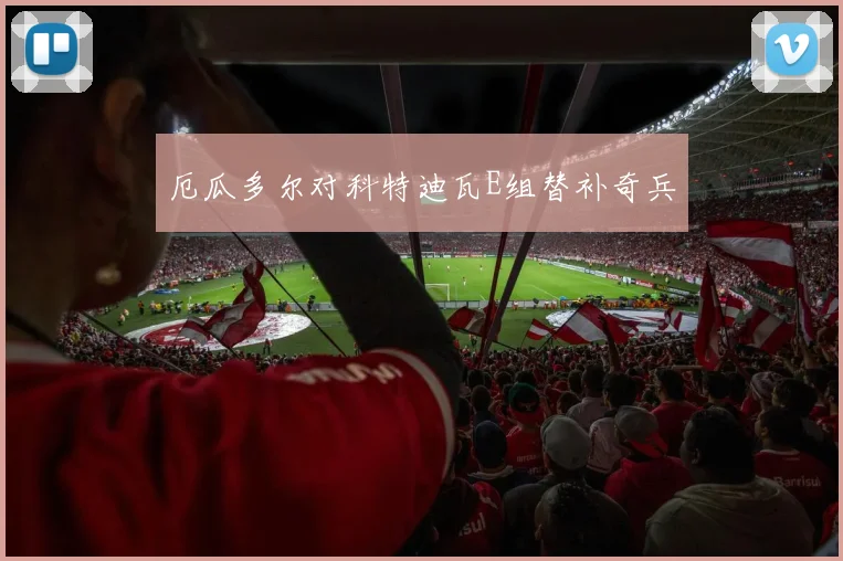 厄瓜多尔对科特迪瓦E组替补奇兵