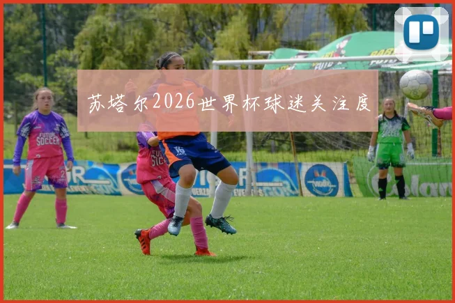 苏塔尔2026世界杯球迷关注度