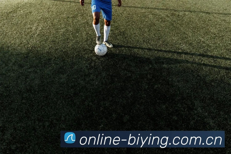 必赢体育（中国）官网入口-BwinSports-用创新打造体验服务体系