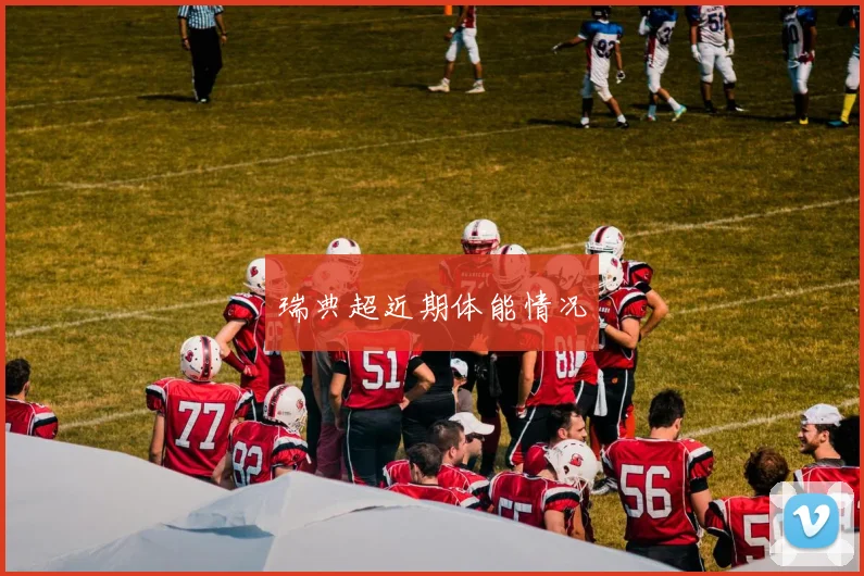 瑞典超近期体能情况