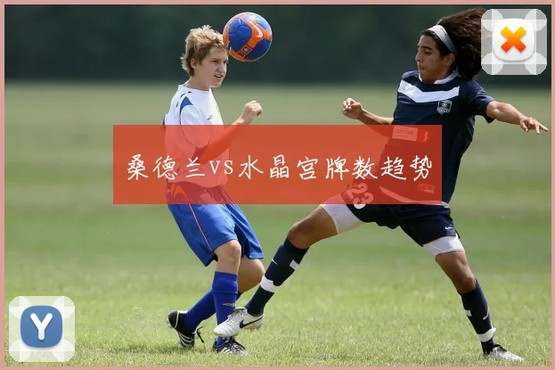 桑德兰vs水晶宫牌数趋势
